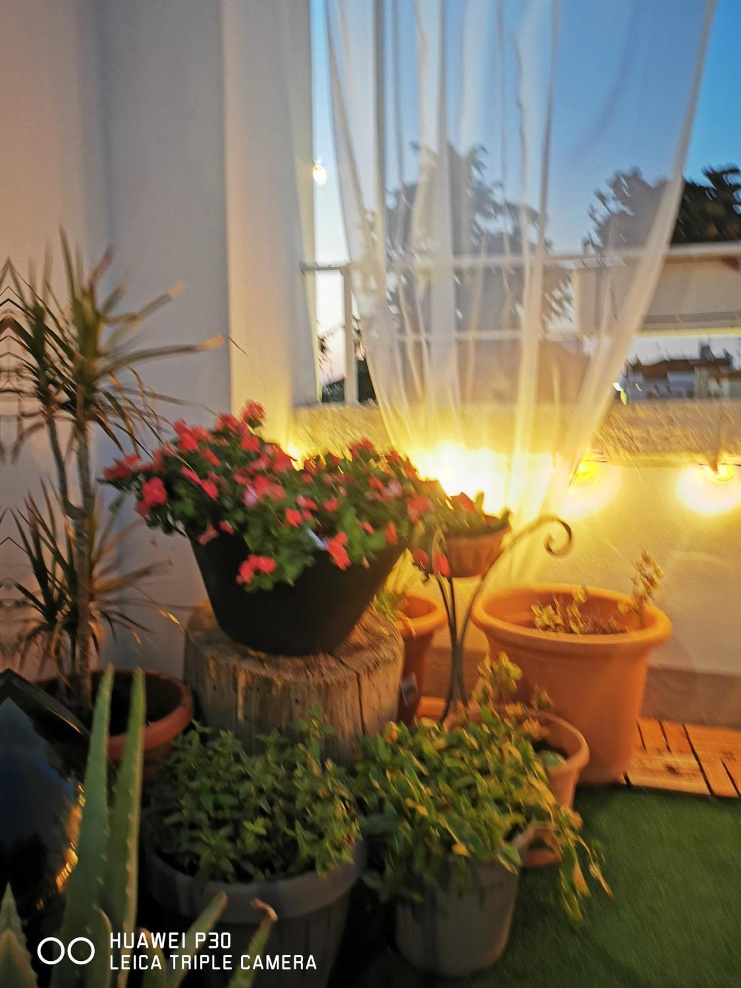 Sfumature Di Puglia Apartment Turi Bagian luar foto